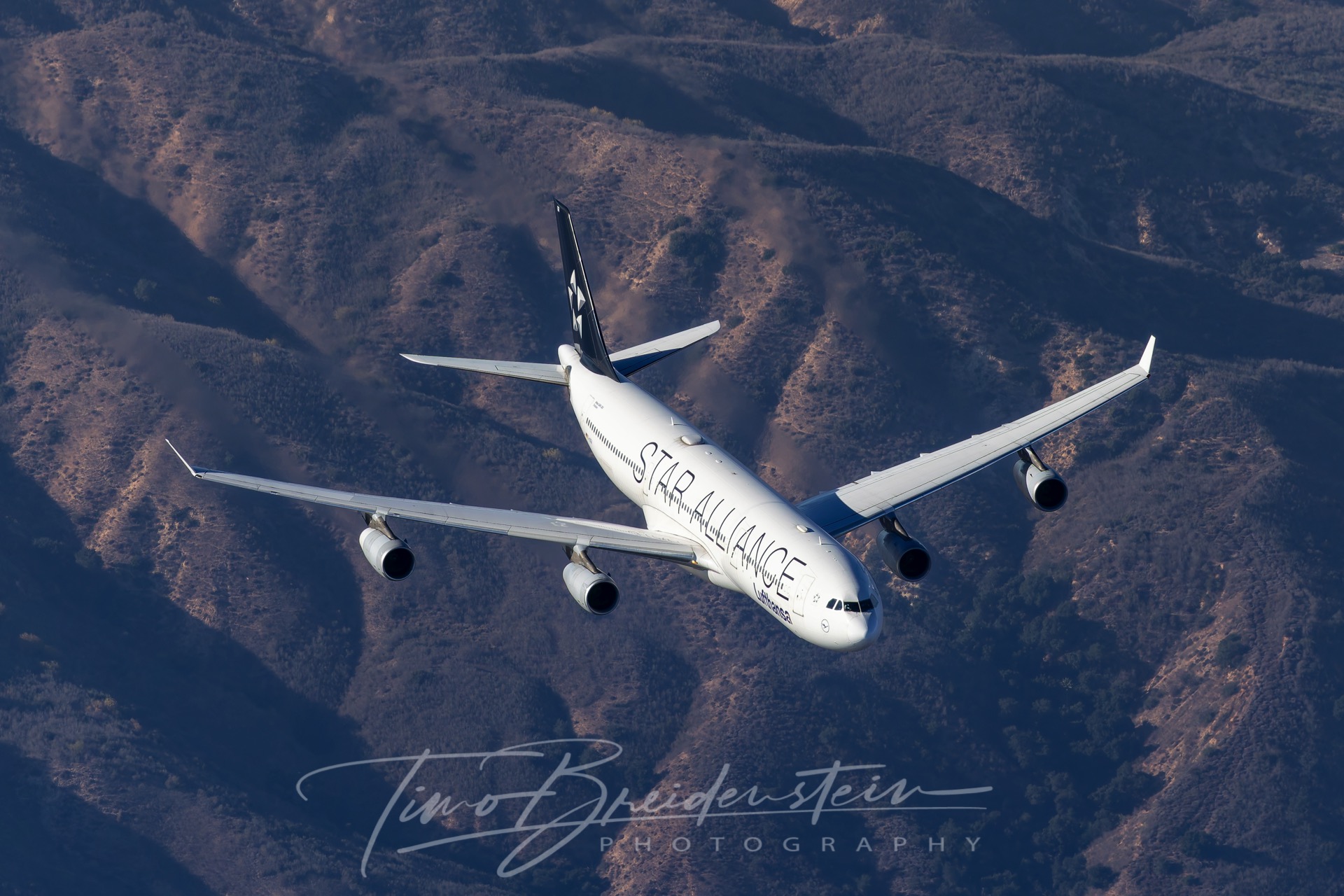 20251005 822A0940 Kopie